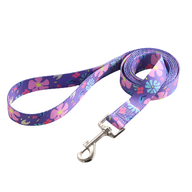 Soft durable nylon adjustable Dog collars and leashes
