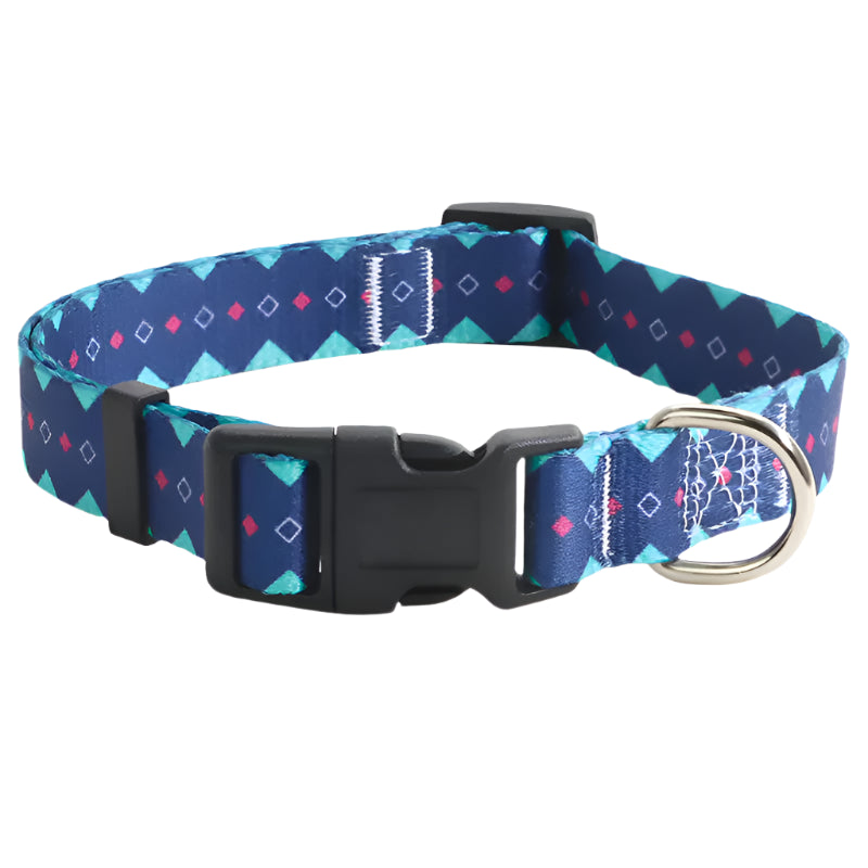 Soft durable nylon adjustable Dog collars and leashes