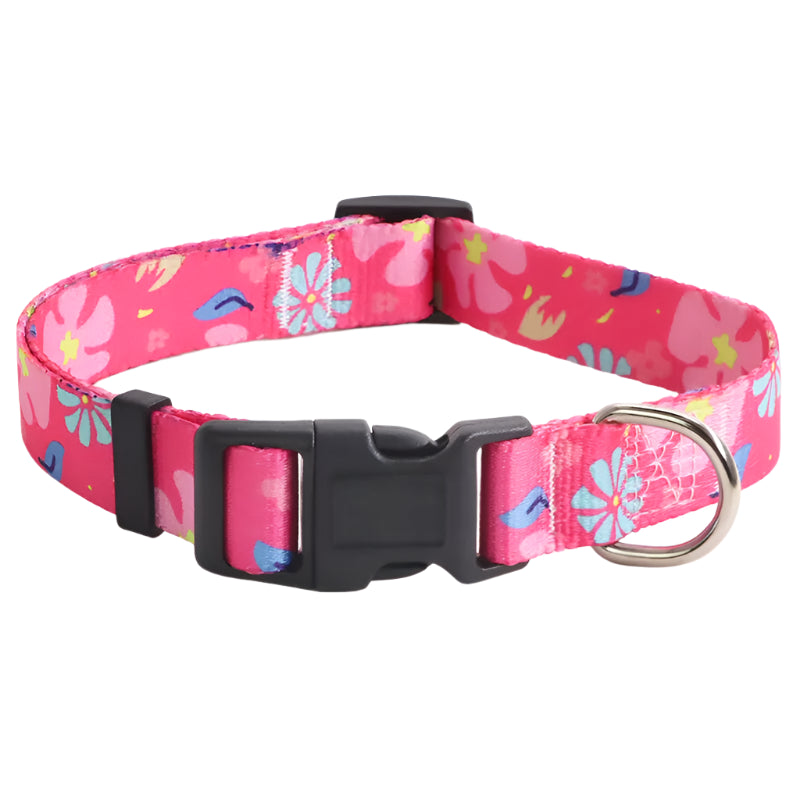 Soft durable nylon adjustable Dog collars and leashes