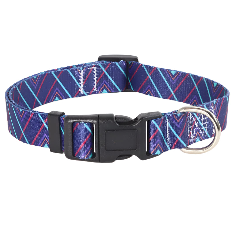 Soft durable nylon adjustable Dog collars and leashes