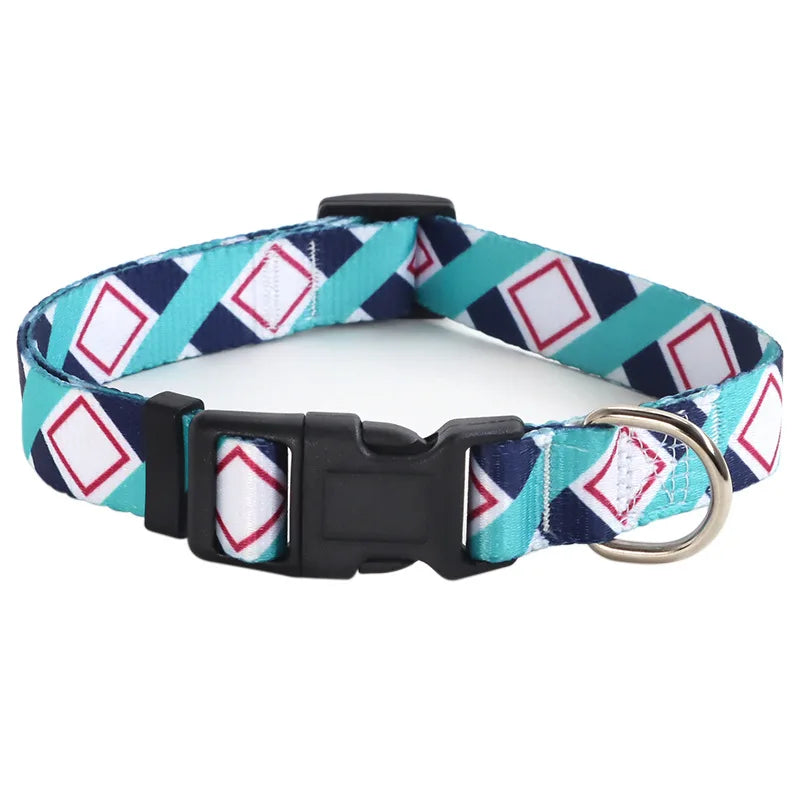 Soft durable nylon adjustable Dog collars and leashes