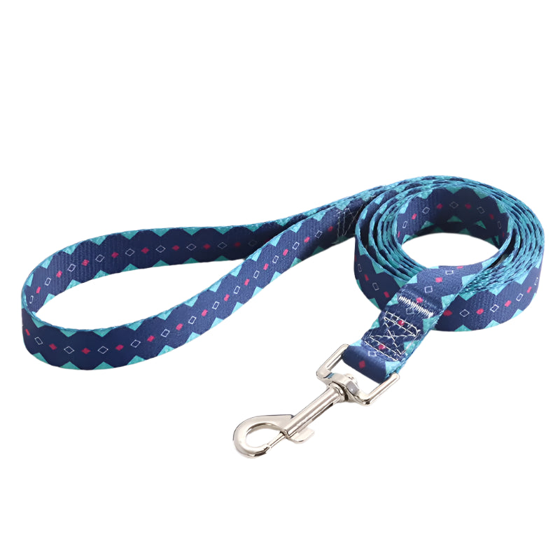 Soft durable nylon adjustable Dog collars and leashes