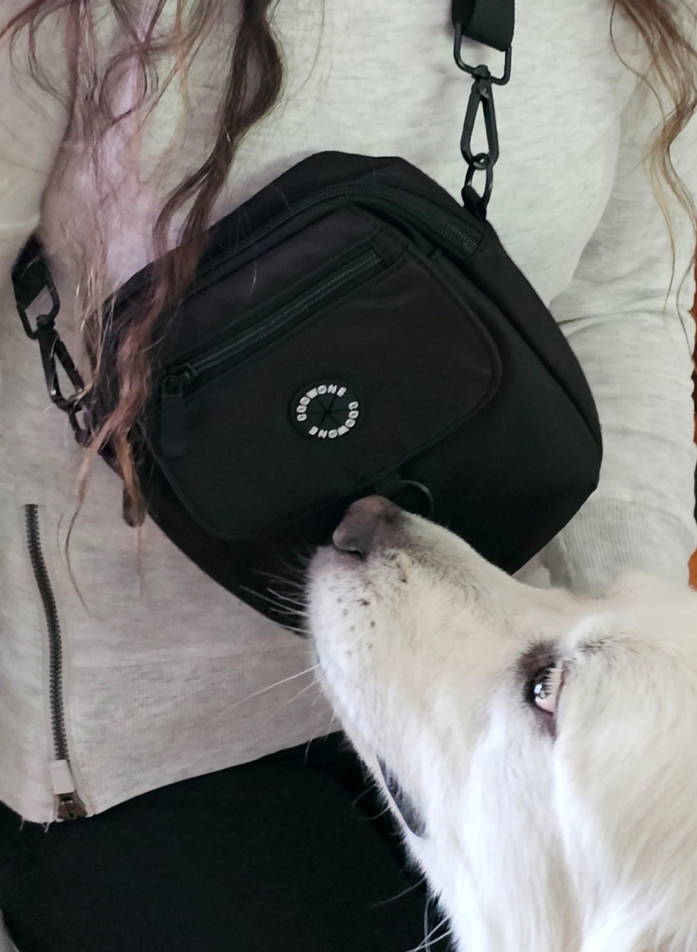 Dog walking crossover bag